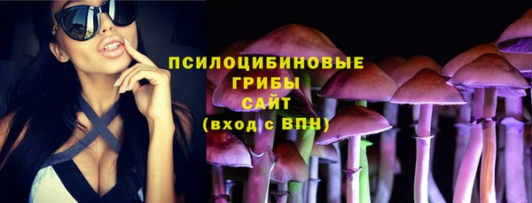 бутират Арсеньев
