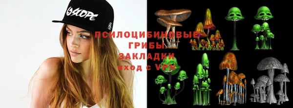 бутират Арсеньев