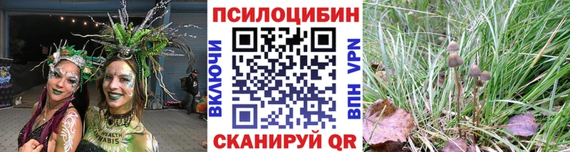наркотики  Новотроицк  omg рабочий сайт  Псилоцибиновые грибы ЛСД 